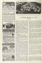 Better Homes & Gardens November 1924 Magazine Article: A Chicken Ranch in a Loft