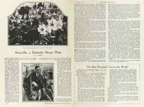 Better Homes & Gardens November 1924 Magazine Article: Amaryllis, a Desirable House Plant