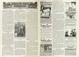 Better Homes & Gardens November 1924 Magazine Article: Page 36