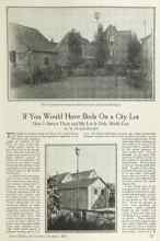 Better Homes & Gardens December 1924 Magazine Article: If You Would Have Birds On a City Lot