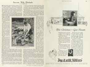 Better Homes & Gardens December 1924 Magazine Article: Page 18