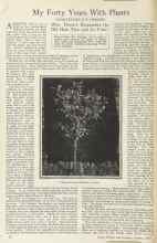 Better Homes & Gardens January 1925 Magazine Article: My Forty Years With Plants