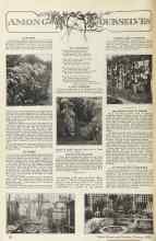 Better Homes & Gardens January 1925 Magazine Article: At the bottom of this page are shown 