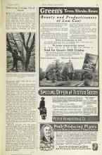 Better Homes & Gardens January 1925 Magazine Article: Destroying Fireblight Out of Season