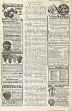 Better Homes & Gardens January 1925 Magazine Article: Flowers for Gifts