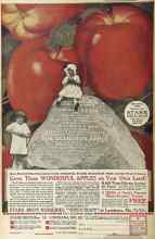 Better Homes & Gardens January 1925 Magazine Article: Page 60