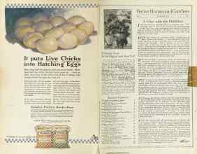 Better Homes & Gardens January 1925 Magazine Article: Page 2