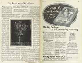 Better Homes & Gardens January 1925 Magazine Article: Page 24
