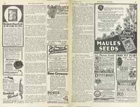 Better Homes & Gardens January 1925 Magazine Article: Page 44