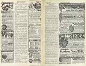 Better Homes & Gardens January 1925 Magazine Article: Page 48
