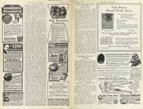 Better Homes & Gardens January 1925 Magazine Article: Page 50