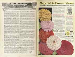 Better Homes & Gardens January 1925 Magazine Article: Page 58