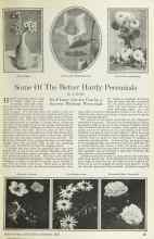 Better Homes & Gardens February 1925 Magazine Article: Some Of The Better Hardy Perennials