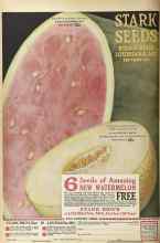 Better Homes & Gardens February 1925 Magazine Article: Page 100