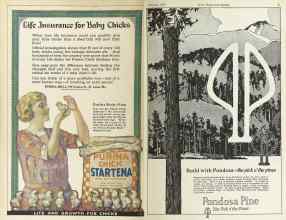 Better Homes & Gardens February 1925 Magazine Article: Page 2