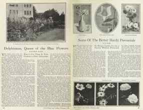 Better Homes & Gardens February 1925 Magazine Article: Page 12