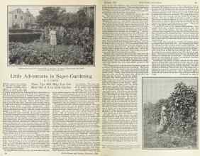 Better Homes & Gardens February 1925 Magazine Article: Little Adventures in Super-Gardening