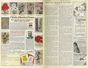 Better Homes & Gardens February 1925 Magazine Article: Page 46
