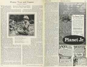 Better Homes & Gardens February 1925 Magazine Article: Flower Toys and Games