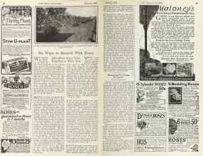 Better Homes & Gardens February 1925 Magazine Article: Six Ways to Succeed With Roses