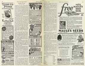 Better Homes & Gardens February 1925 Magazine Article: Page 84