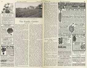 Better Homes & Gardens February 1925 Magazine Article: The Family Garden