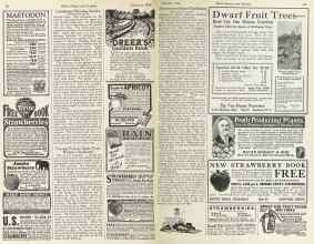 Better Homes & Gardens February 1925 Magazine Article: Page 92