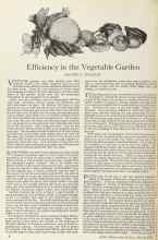 Better Homes & Gardens March 1925 Magazine Article: Efficiency in the Vegetable Garden
