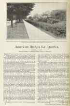 Better Homes & Gardens March 1925 Magazine Article: American Hedges for America