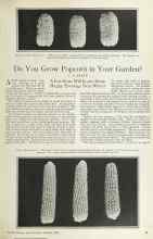 Better Homes & Gardens March 1925 Magazine Article: Do You Grow Popcorn in Your Garden?