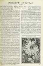 Better Homes & Gardens March 1925 Magazine Article: Dahlias in the Central West