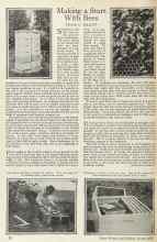 Better Homes & Gardens March 1925 Magazine Article: Making a Start With Bees