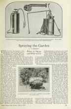 Better Homes & Gardens March 1925 Magazine Article: Spraying the Garden