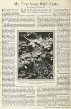 Better Homes & Gardens March 1925 Magazine Article: My Forty Years With Plants