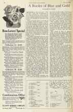Better Homes & Gardens March 1925 Magazine Article: A Border of Blue and Gold
