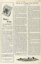 Better Homes & Gardens March 1925 Magazine Article: How to Prune Ten Fruits