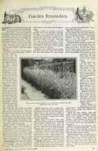 Better Homes & Gardens March 1925 Magazine Article: Garden Reminders