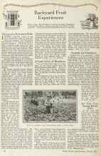 Better Homes & Gardens March 1925 Magazine Article: The Joys of a Strawberry Patch