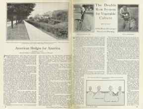 Better Homes & Gardens March 1925 Magazine Article: Page 10