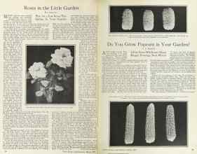 Better Homes & Gardens March 1925 Magazine Article: Page 14