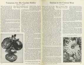 Better Homes & Gardens March 1925 Magazine Article: Page 18