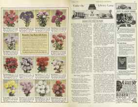 Better Homes & Gardens March 1925 Magazine Article: Page 54