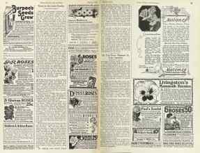 Better Homes & Gardens March 1925 Magazine Article: Page 80