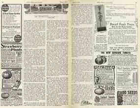Better Homes & Gardens March 1925 Magazine Article: Along the Garden Path