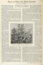 Better Homes & Gardens April 1925 Magazine Article: How to Have An Herb Garden