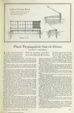 Better Homes & Gardens April 1925 Magazine Article: Plant Propagation Out-of-Doors
