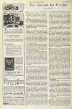 Better Homes & Gardens April 1925 Magazine Article: Ten Annuals for Cutting