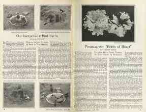 Better Homes & Gardens April 1925 Magazine Article: Page 8