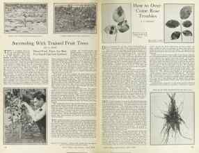 Better Homes & Gardens April 1925 Magazine Article: Page 14