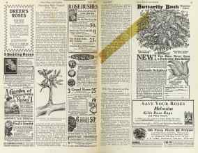 Better Homes & Gardens April 1925 Magazine Article: Page 84